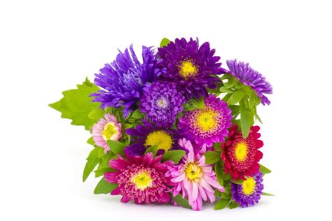 Bouquet Of Colorful Asters Flowers Stock Image Image Of Colourful
