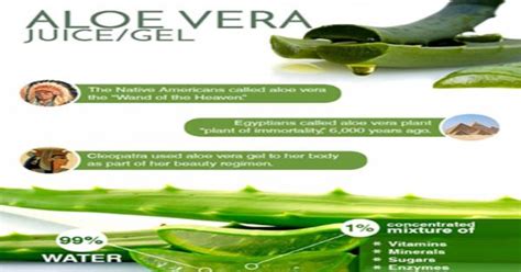 Aloe Vera Juice And Gel Infographic Infographics