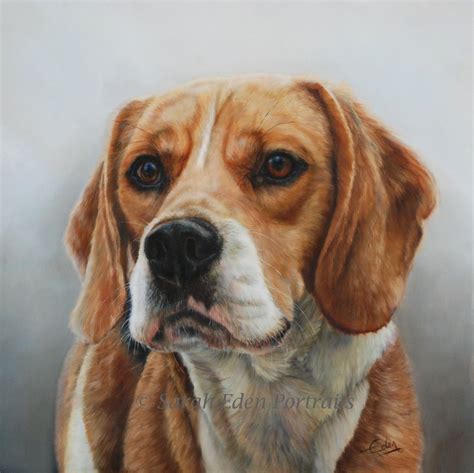 Beagle Painting By Sarah Eden Dog Paintings Dog Art Beagle Dog