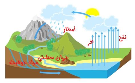 دورة المياه الطبيعية