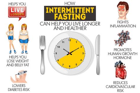 Intermittent Fasting Om Gezond En Snel Af Te Vallen Nutrifoodz