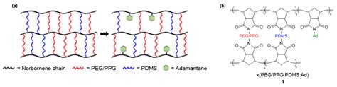 Polymers Free Full Text Pegppg Pdms Adamantane Based Crosslinked