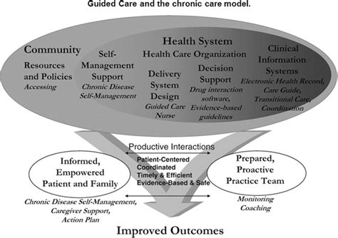 “guided Care” For People With Complex Health Care Needs Springerlink