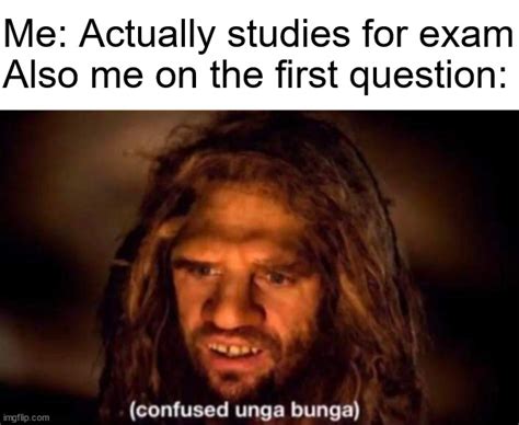 Exams In A Nutshell Imgflip