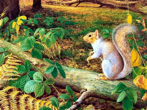 Squirrels Forest 3d Animals Hd Wallpaper Peakpx