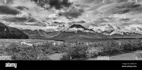 Denali National Park Mountains Panoramic View In Dramatic Black And