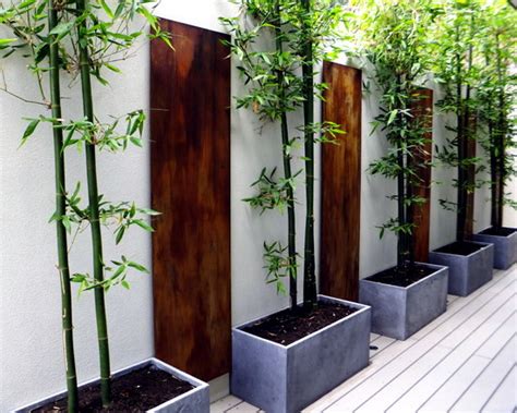 If you don't want to run the risk of your bamboo completely overtaking your garden, plant it inside a container for controlled growth. 56 ideas for bamboo in the garden - out of sight or ...