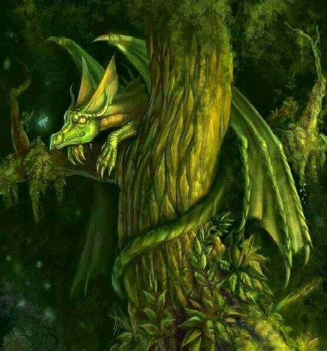 Tree Dragon Fantasy Dragon Dragon Dreaming Dragon Pictures