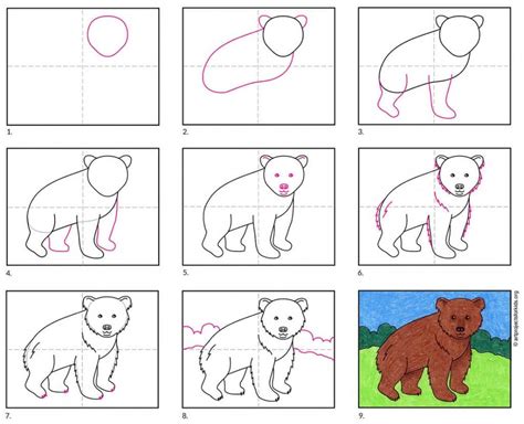 How To Draw A Bear · Art Projects For Kids