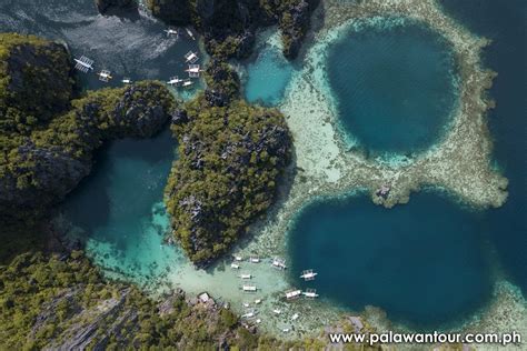 Tropical Blues 📍twin Lagoon Coron Palawan Palawan Coron Lagoon