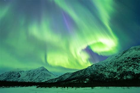 The Aurora Borealis From Denali National Park Two Nights Ago Oc