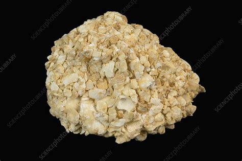Coquina sedimentary rocks are made of crushed seashells glued together with calcite. Coquina, unconsolidated sedimentary rock - Stock Image ...