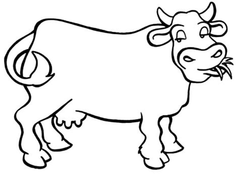 Dairy Cow Netart
