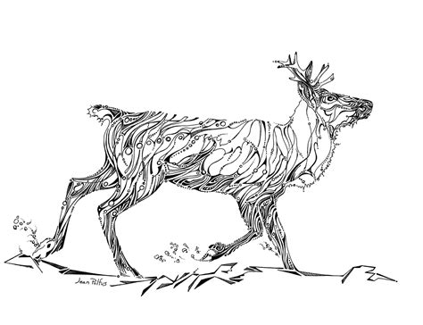 Animal Line Drawings At Explore Collection Of