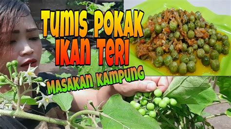 Ayam kampung rica rica liwet rice village saute corn vermicelli village rendang village eggs tempe kampung fried. Resep Masakan kampung , tumis pokak ikan teri ||petik ...