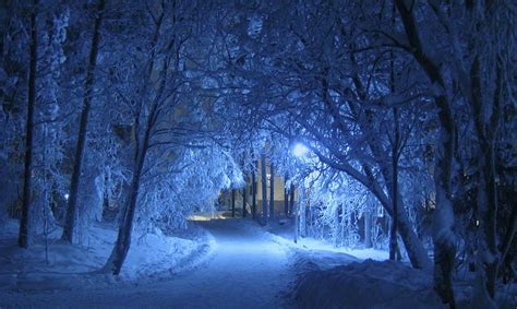 Snow Covered Pathway Trees Nighttime Winter Night Blue Piqsels
