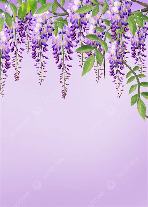 Watercolor Purple Flowers Seamless Wisteria Flowers Purple Background