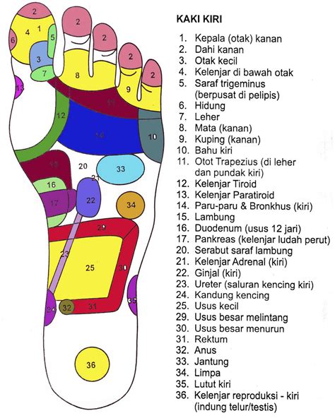 Titik Refleksi Sakit Tumit Telapak Kaki Kiri Sakit 02 Pelindung