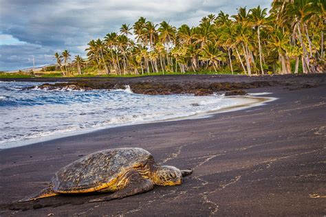 The 20 Best Black Sand Beaches To Visit