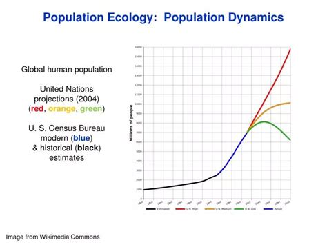 Ppt Population Ecology Population Dynamics Powerpoint Presentation