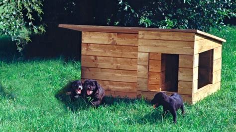 Tetto con trattamento a spruzzo impermeabilizzate in materiale gommoso. Cuccia in legno fai da te con isolamento e ventilazione ...
