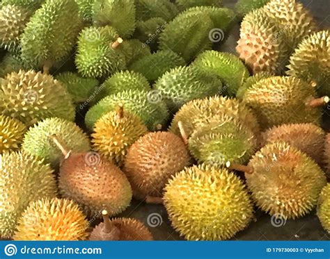 Malaysia Penang Durians Farm Plantation Tasting Tour All You Can Eat