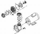 Images of Spa Pump And Motor Assembly