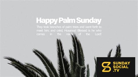 Happy Palm Sunday They Took Branches Of Palm Trees And Went Forth To