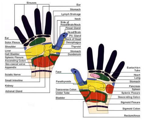 What Is Reflexology? | NeedBalance
