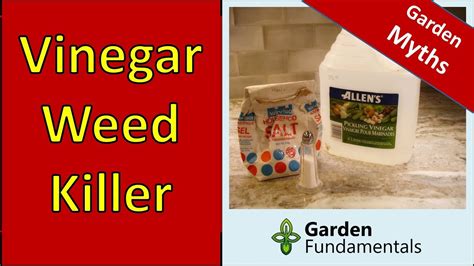 Sampling with vinegar weed killer. Epsom Salt Vinegar Soap Weed Killer Recipe