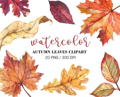 Woodland Clipart Watercolor Autumn Leaves Making Wedding Invitations