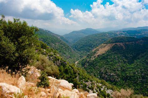 130 Lebanon Mountains Stock Photos Pictures And Royalty Free Images