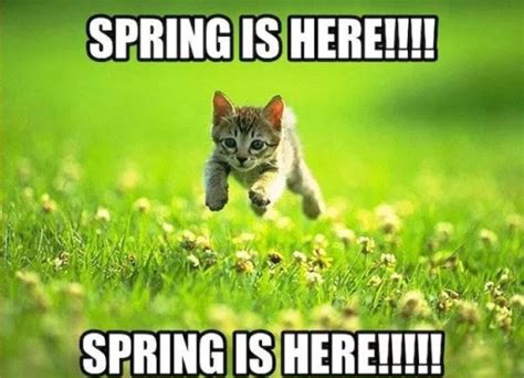 Spring Is Coming Memes Others