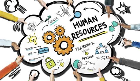 The 8 Functional Areas Of Human Resources Mind Map