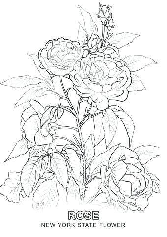 The colouring pages are free, but if you want to contribute to their use and help to get newyork.co.uk through this crisis, i would really appreciate it! New York Mets Coloring Pages at GetColorings.com | Free ...