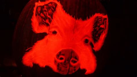 Pig Pumpkin Carving Youtube