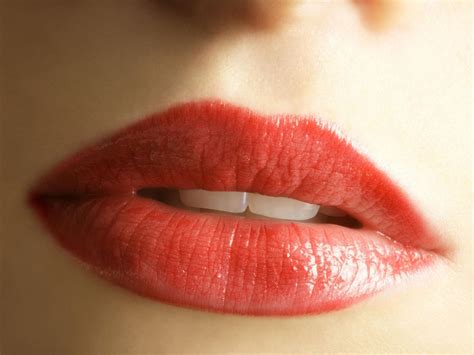 Check out our lip products selection for the very best in unique or custom, handmade pieces from our lip balms & glosses shops. 7 best lip-plumping products | The Independent