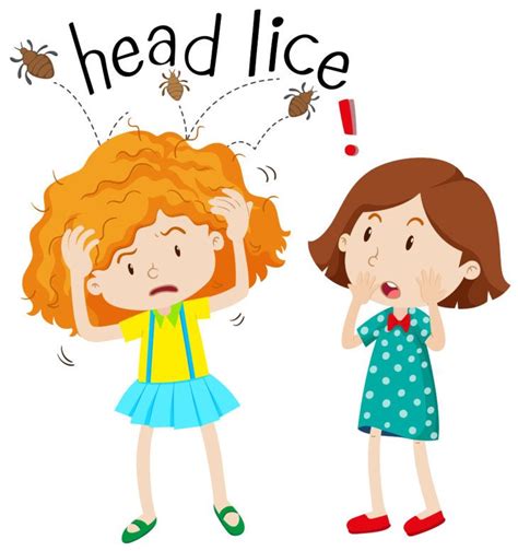 Head Lice Facts Every Parent Should Know Activebeat