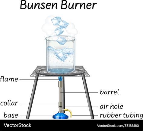Science Bunsen Burner Diagram Royalty Free Vector Image