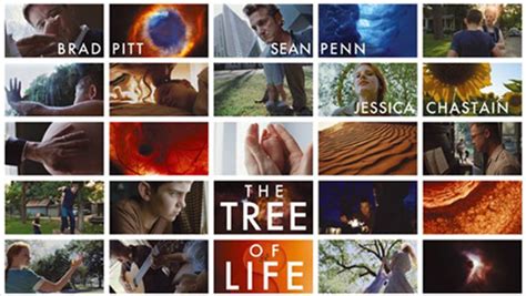 The Tree Of Life Recensione Diredonna