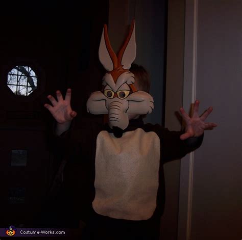 Roadrunner And Wile E Coyote Halloween Costumes Photo 55