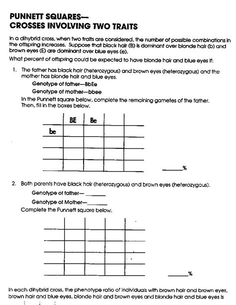 The punnett square is an extremely useful tool for understanding odds and probabilities for. 15 Best Images of Genetic Punnett Squares Worksheets - Punnett Square Worksheets, Genetics ...