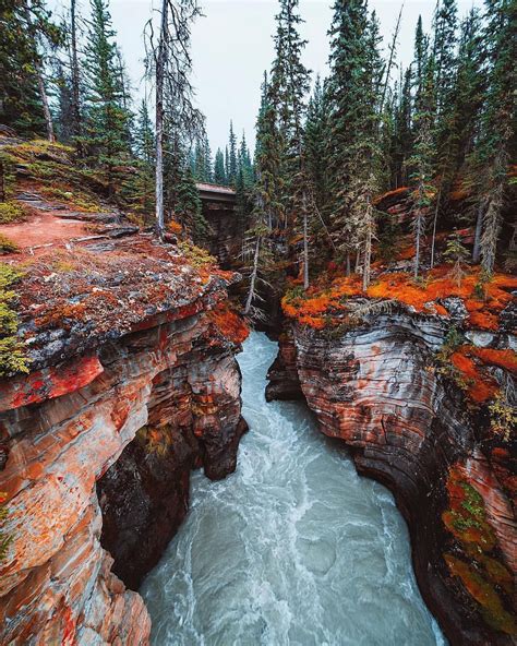 The Colourful Athabasca Falls In Jasper National Park Alberta Canada