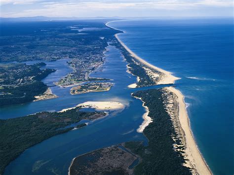 Ninety Mile Beach Nature And Wildlife Gippsland Victoria Australia