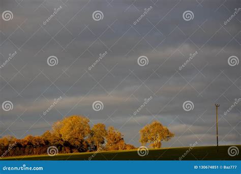 Afternoon Sunlight Over Farmland Stock Image Image Of England Autumn