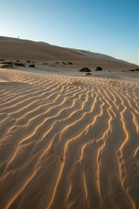 Sand Dunes Of Sharqiya Desert Oman Stock Photo Image Of Adventure