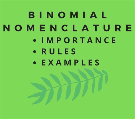 Binomial Nomenclature Examples Of Animals