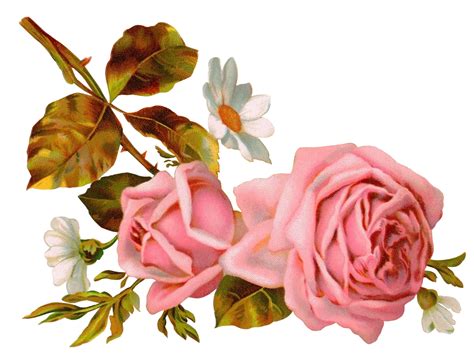 Floral Flowers Vintage Flowers Wallpaper Gratis Spring Roses Golden