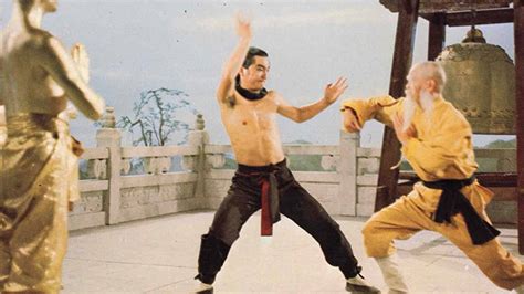 Martial Arts Of Shaolin Cast Art Giw
