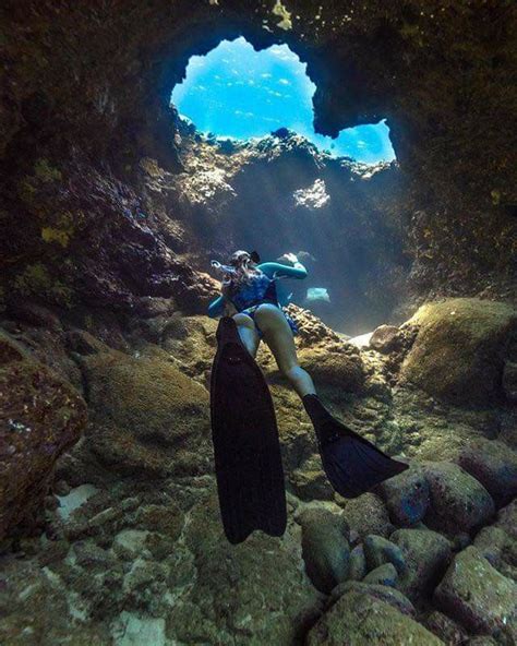 Caves In Hawaii 😍 Sualtı Fotoğrafçılığı Tüplü Dalış Denizaltı